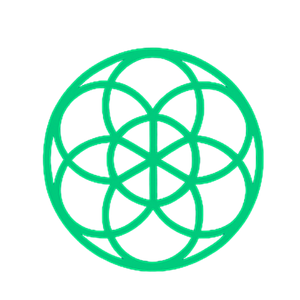 website logo